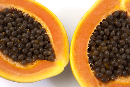 Papaya isolated on white backgorundの写真素材