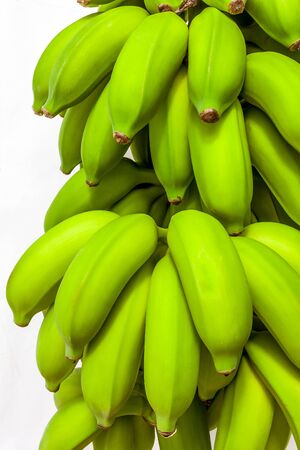 Bunch of green bananas isolated on white backgroundの写真素材