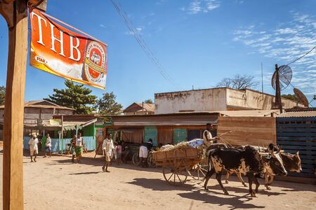 A Malagasy man driving a zebu cart on july 3, 2017 in the typical village of Belo sur Tsiribihina, western Madagascarのeditorial素材