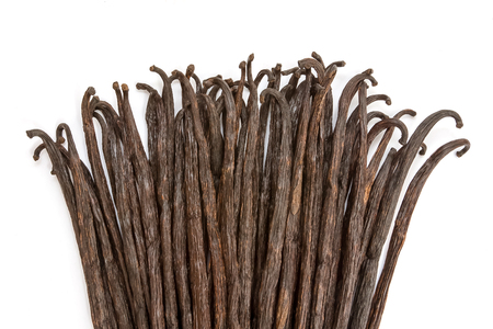 Boot of Bourbon vanilla beans isolated on white backgroundの写真素材