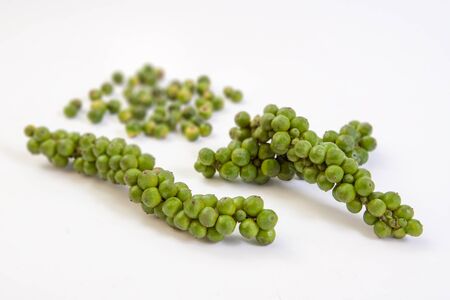 Bunches of fresh green peppercorns isolated on white backgroundの写真素材