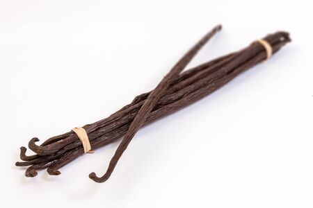 Bourbon vanilla pods from Madagascarの写真素材