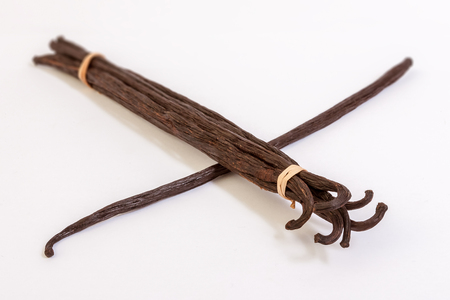 Bourbon vanilla pods from Madagascarの写真素材