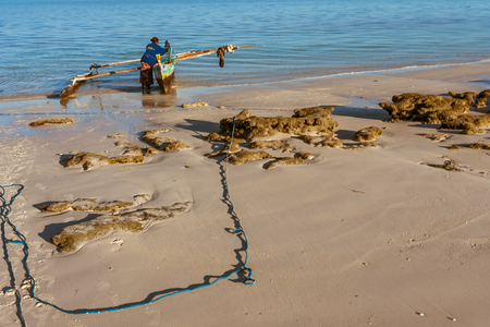 Tsifota, Madagascar, June 08, 2017: Fishing scene of Malagasy fishermen of the Vezo ethnic group in the edge of the Ambatomilo lagoon in southwestern Madagascarのeditorial素材