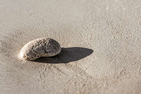 Pebble of dead coral on the sandy beachの写真素材
