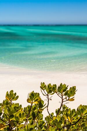 Idyllic tranparent lagoon and sandy beach in southwestern Madagascarの写真素材