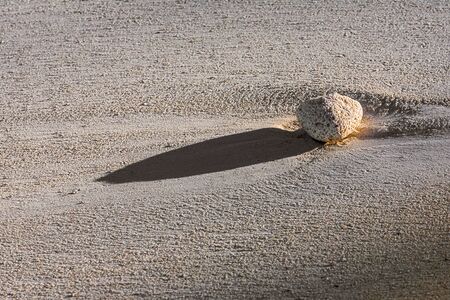 Pebble of dead coral on the sandy beachの写真素材