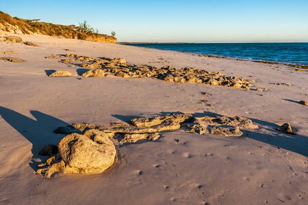 Rocky beach at sunset in south-western Madagascarの写真素材