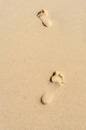 Two steps of footprints in the sandの写真素材