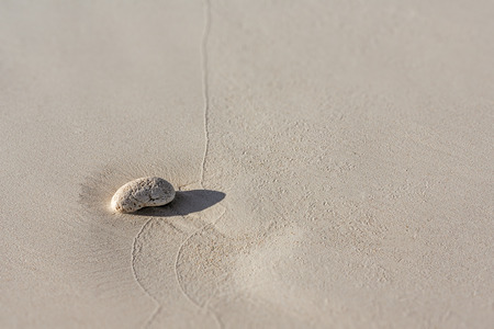 Pebble of dead coral on the sandy beachの写真素材