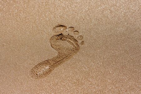 One footprint in the wet sandの写真素材
