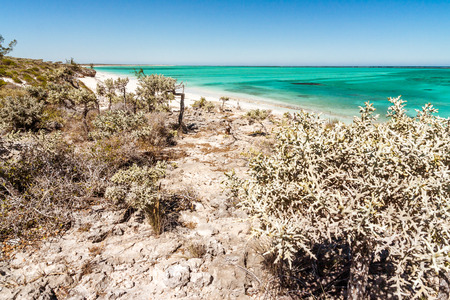 Thorny and dry vegetation in south-western Madagascarの写真素材