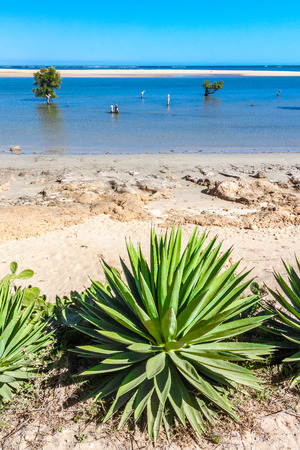 Seascape of Ifaty, southwestern Madagascarの写真素材