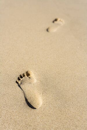 Two steps of footprints in the sandの写真素材