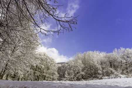 Snowy landscape with sun and clouds in the mountains near Grenoble in the French Alpsの写真素材