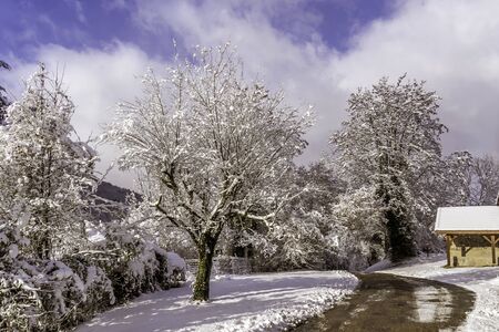 Farm barn in a cold winter landscape with snow and frostの写真素材