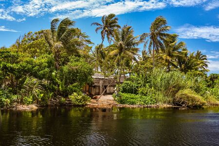 Typical tropical village near Tolanaro (Fort-Dauphin) in southern Madagascarの写真素材