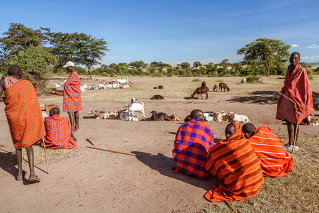 Masai Mara, Kenya, May 23, 2017: Masai farmers guarding their flock of goats near their villageのeditorial素材