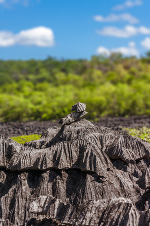 The Tsingy of Ankarana, northern Madagascarの写真素材
