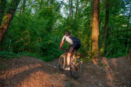 Cycling through the paths in the woodsの写真素材