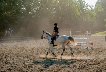 Horse gallop mounted by amazonの写真素材