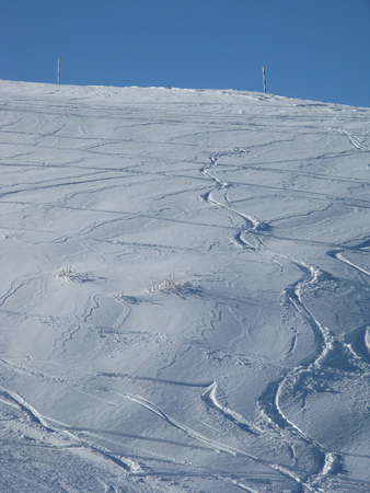enchanted landscape after heavy snowfallの写真素材