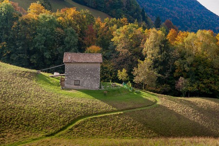path leading to the barnのeditorial素材
