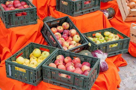 autumn season vegetable composition from the fruit vineyardの写真素材