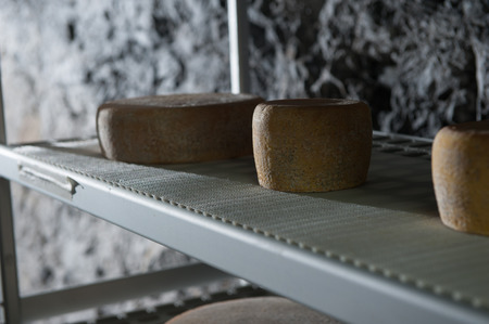 seasoning of cheese in the mineの写真素材