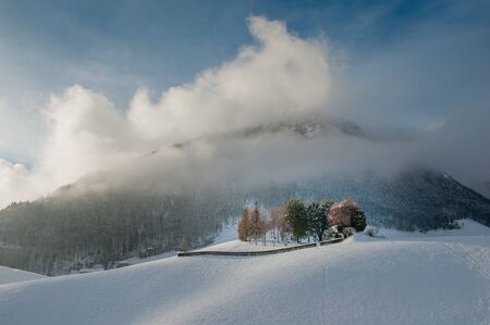 fixed staging for bird hunting in winterの写真素材