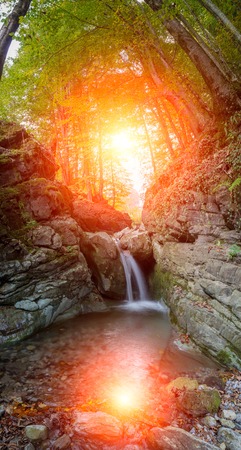 river in the middle of the woods with waterfallの写真素材