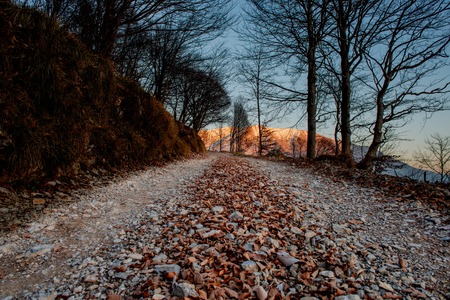 mountain path in the woods at sunsetの写真素材