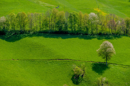 Farmhouse surrounded by natureの写真素材