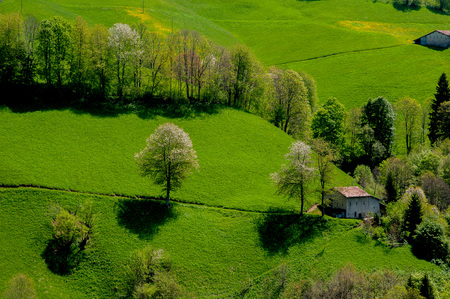 Farmhouse surrounded by natureの写真素材