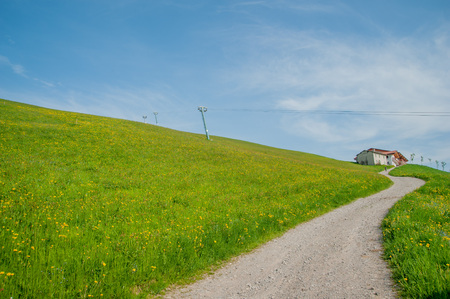 road in the middle of nature in springのeditorial素材