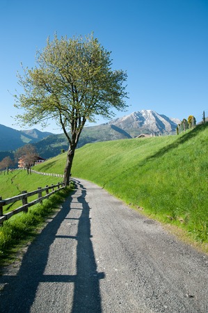 road in the middle of nature in springの写真素材