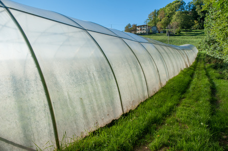 organic cultivation of vegetables in greenhousesのeditorial素材