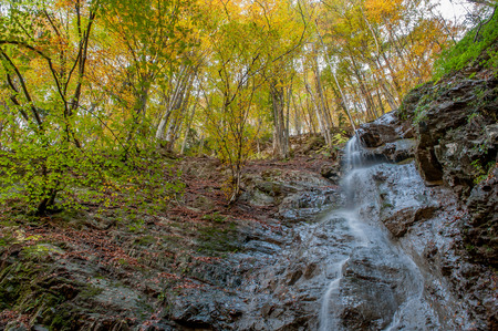 cascade of clear water in the autumn forestの写真素材