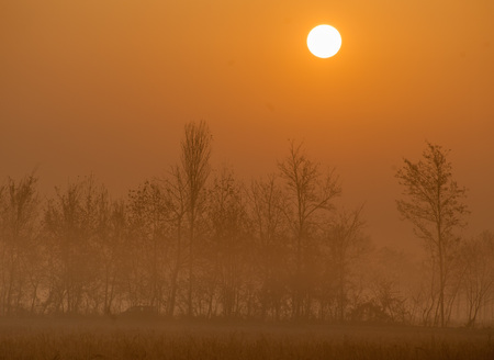 agricultural field in the fog at sunsetの写真素材