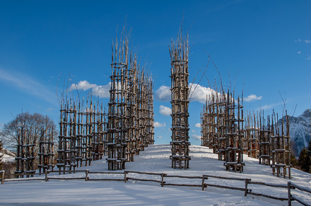 Art trees in the snowの写真素材