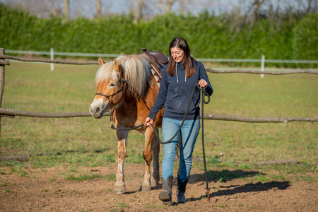 horses run free in the prairieの写真素材