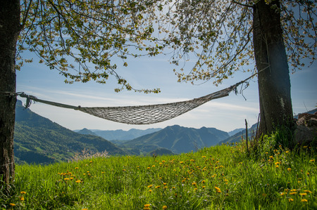 relax in comfortable hammock suspended between the treesの写真素材