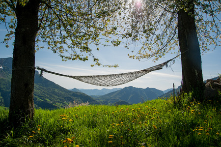 relax in comfortable hammock suspended between the treesの写真素材