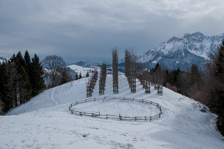 wooden structure for creation of vegetable cathedralの写真素材