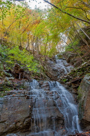 cascade of clear water in the autumn forestの写真素材