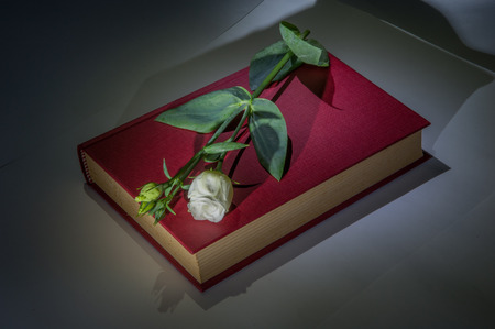 closed book with roseの写真素材