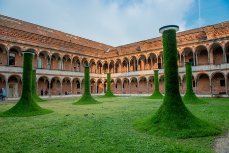 grass trees in the garden of the state university of milanのeditorial素材