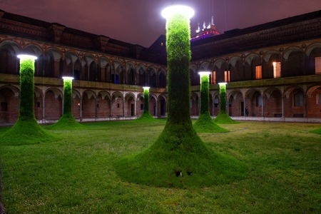 grass trees in the garden of the state university of milanのeditorial素材
