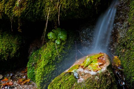 mountain river waterfall in the fallの写真素材