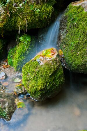 mountain river waterfall in the fallの写真素材
